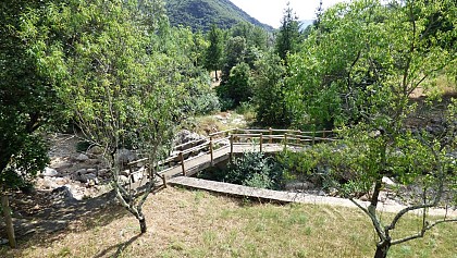 SITE DE L'ALBINE