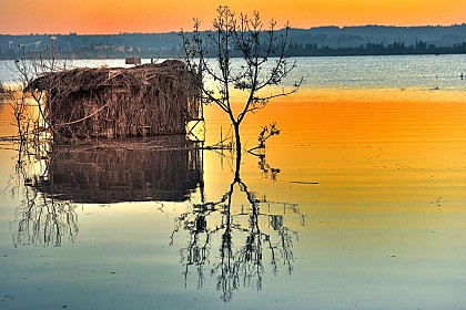 ETANG DE CAPESTANG