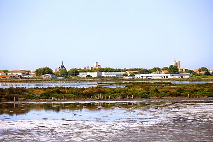 LES ANCIENS SALINS DE FRONTIGNAN