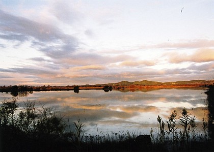 ETANG DE LA MATTE