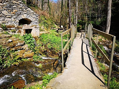 SOURCE DE LA CESSE