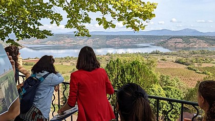 BELVEDERE DE LIAUSSON