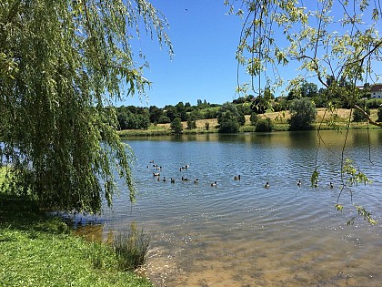 Lac de l'Y