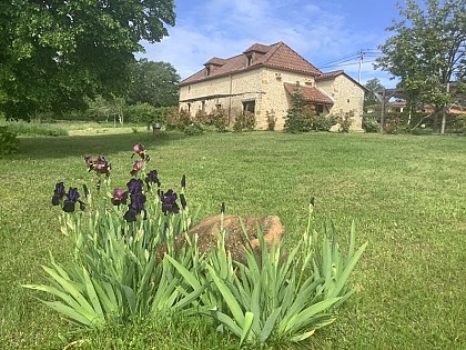 La Croix des Alignés