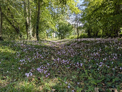 Parc municipal