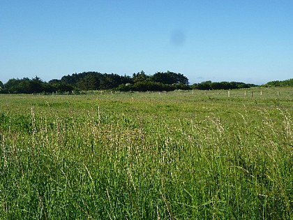 Groix plots