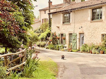 Bois Mort Farm - Chez Aline