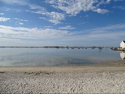 The Petite Mer de Gâvres and its bird reserve