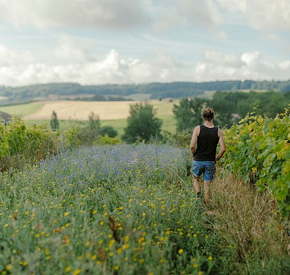 Ferme de Jeanmetge