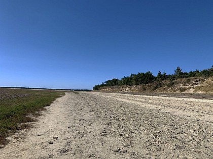 Site nature de La Maye