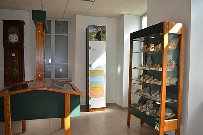 L'Abbé Froment Fossils Exhibition