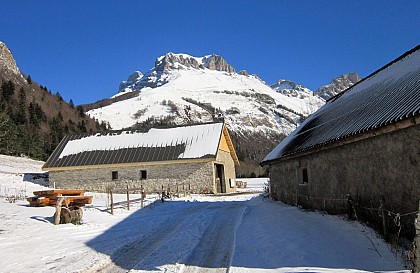 Bergerie des Forêts