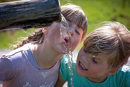 Petits Nomades en Diois : itinérance avec des ânes pour les familles