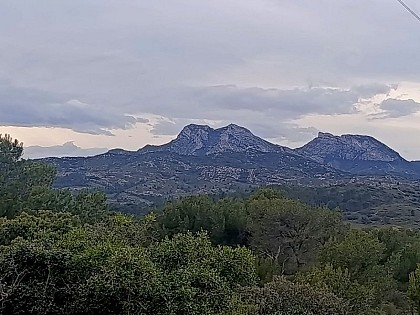 Vue sur les Opies