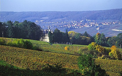 Point de vue sur le Château de Boursault