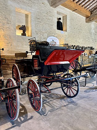 Haras National d'Uzès