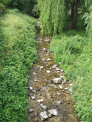 Ruben Saillens Park