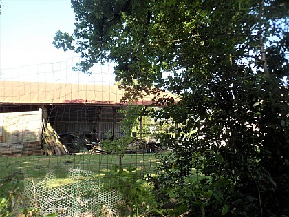The development of Caudan