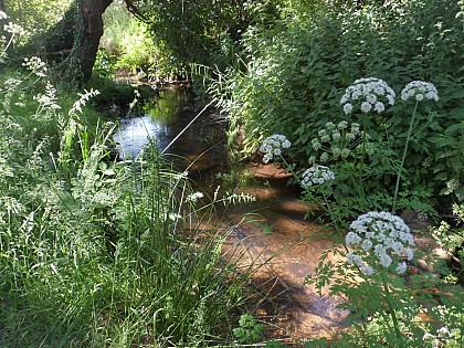 Le Plessis stream