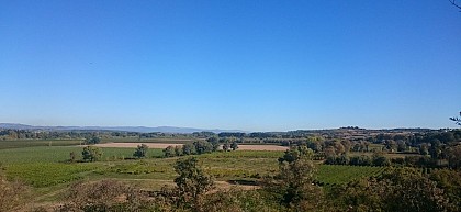 LES AMANDIERS