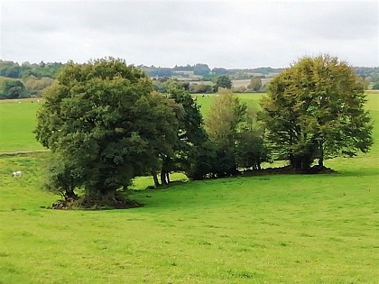 Roscouëdo Catchment