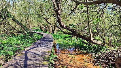 Le Marais de Trestel | Trévou-Tréguignec