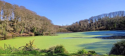 Etang de Boisriou | Trévou-Tréguignec