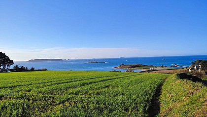 Vue panoramique Sept Îles | Trévou-tréguignec