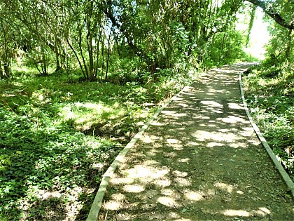 Chemins et bocage