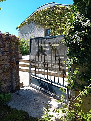 Meublé - fourmi home