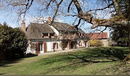 Le Tulipier