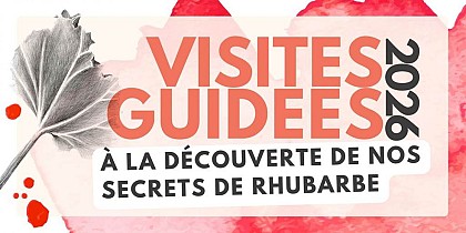 Visites guidées - à la découverte de nos secrets de rhubarbe