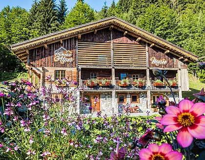 Le Hameau des Alpes