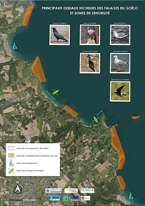 Patrimoine naturel des falaises du goelo