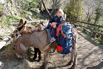 Anambule - Hiking with a donkey