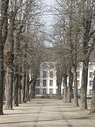 Le cours Spy-des-Ternes