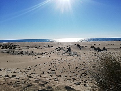 La plage de l'Espiguette