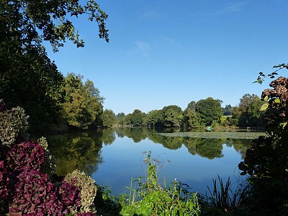 The flower pond