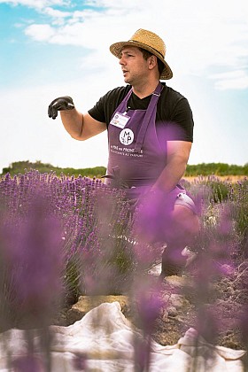 Visites guidées au Mas en Provence