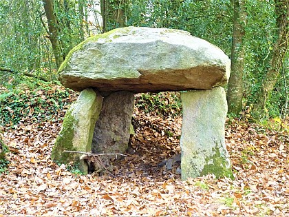 Le bois du dolmen
