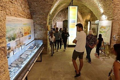 Musée de géologie