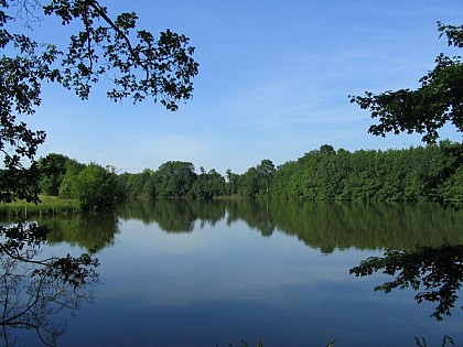 Moulin de Palua