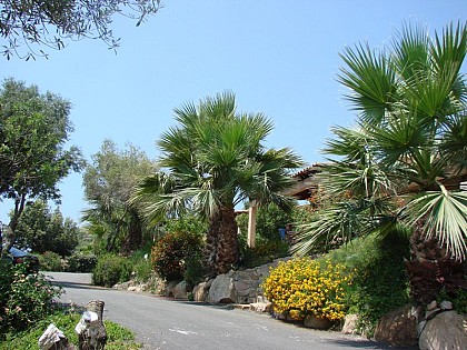CANTU DI MARE