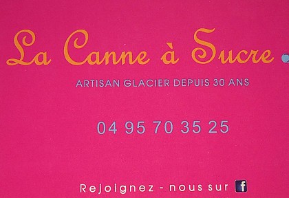 LA CANNE À SUCRE