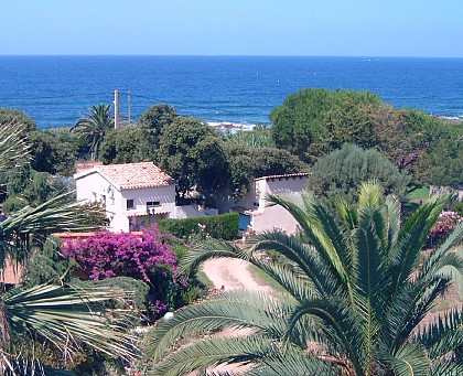 FUNTANELLA