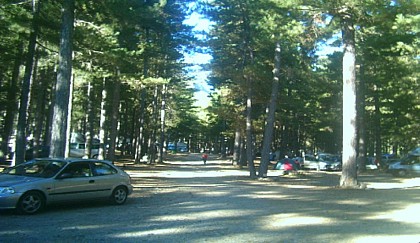 MONTE CINTO