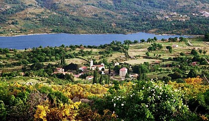 ACQUAVIVA