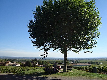 Table d'orientation de Saint-Amour-Bellevue