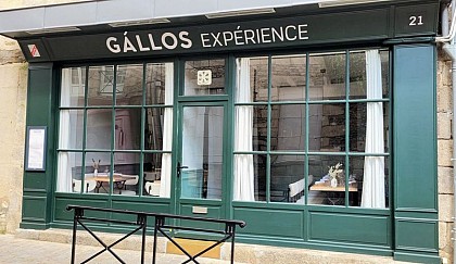 GÁLLOS Expérience