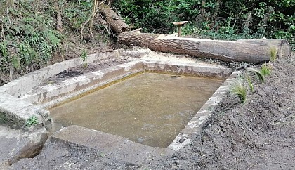 Lavoir de Saint-Philbert-des-Champs